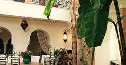 Grand patio et étage.jpg 2